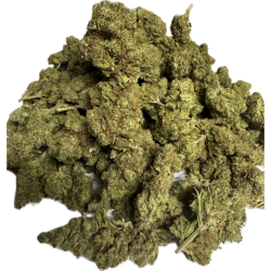 maui waui