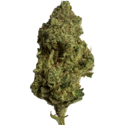 plutonium