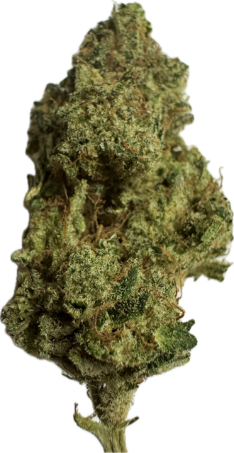 plutonium